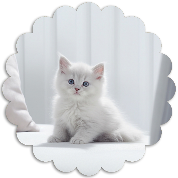 安心の薬剤使用